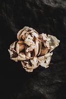 Flower of garlic