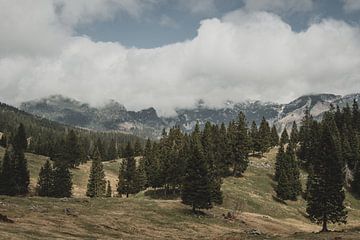 Velika Planina von Paulien van der Werf