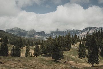 Velika Planina van Paulien van der Werf