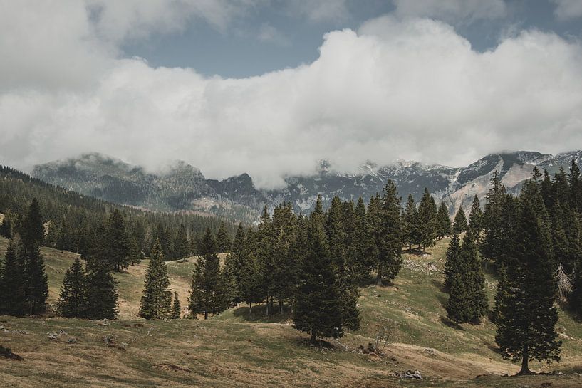 Velika Planina by Paulien van der Werf