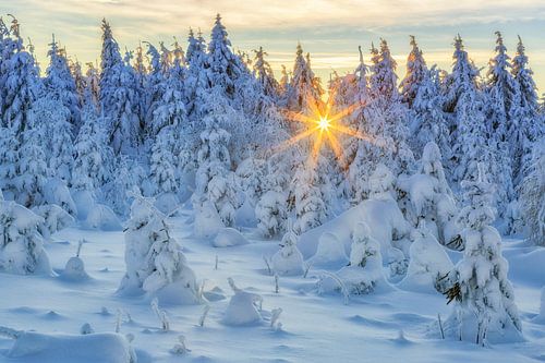 Snowy landscape in the Erzgebirge Mountains