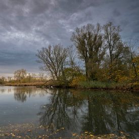 Biesbosch by Jan Koppelaar Fotografie