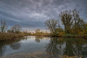 Biesbosch