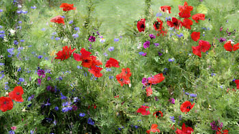 Summer wildflower meadow - impressionist style