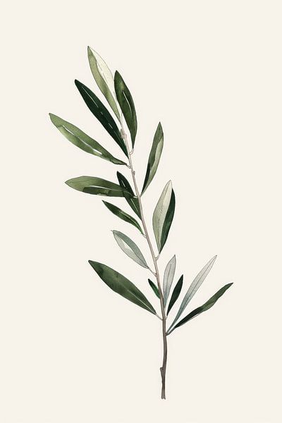 Olijftak van Poster Art Shop