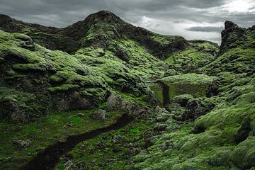 De vulkanische kraters van Laki (IJsland)