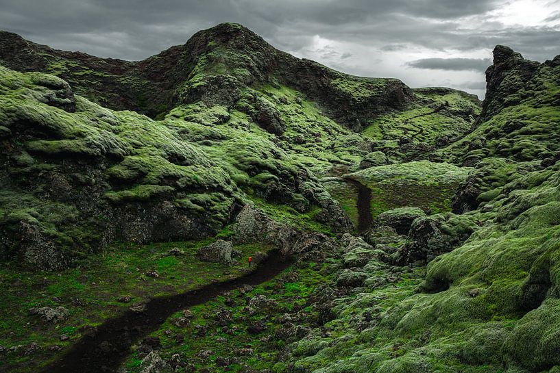 The volcanic craters of Laki (Iceland) by Martijn Smeets