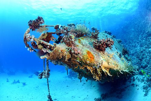 Wrak van een zeilboot