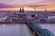 Kölner Skyline bei Sonnenuntergang von Dennisart Fotografie Miniaturansicht