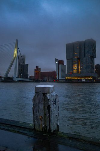 Die Skyline von Rotterdam am Abend