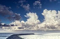 Into the great wide open by Arthur de Groot thumbnail