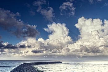 Dans les grands espaces