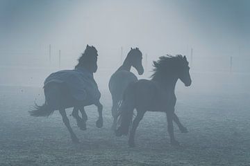 paarden in de mist van Rene scheuneman