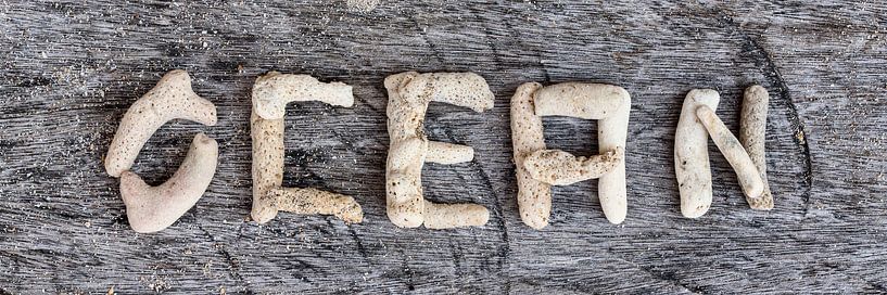 Korallen und Treibholz von Uwe Merkel