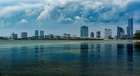Moody Miami Brickell and Biscayne Bridge