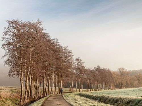 Vroege ochtend sport