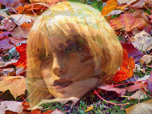 Gezicht tussen de bladeren