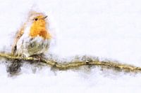Rotkehlchen auf einem Ast (Kunst, Panorama)