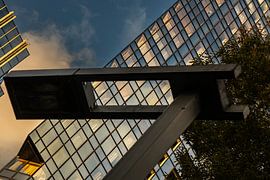 Straight lines by Nildo Scoop