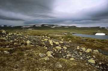 Opkomende storm op de Hardangervidda von Ralph Jongejan