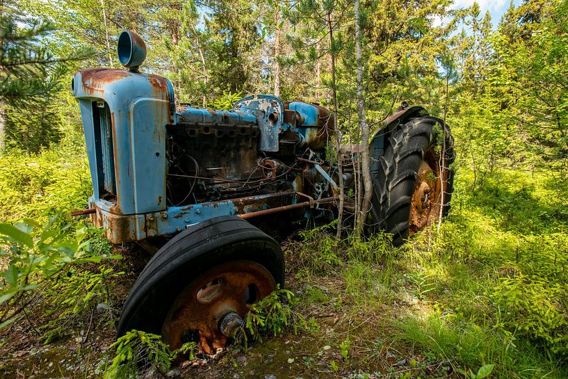 Past glory by Harry Punter