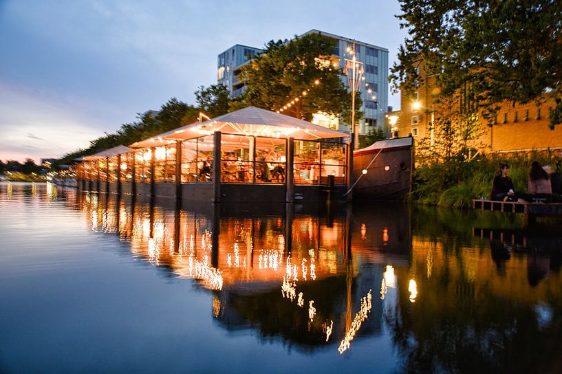 The Albatross by Freddie de Roeck