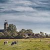 La petite église de Jorwerd, en Frise, dans la lumière de la fin de l'été sur Harrie Muis