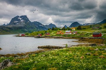 Fredvang Lofoten Noorwegen van Hamperium Photography