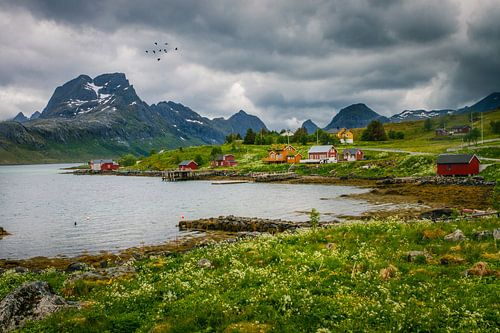 Fredvang Lofoten Noorwegen