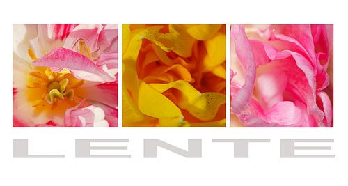 Symphonie printanière – Triptyque du printemps