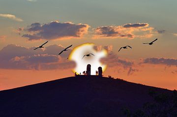Sunshow van Edgar Schermaul