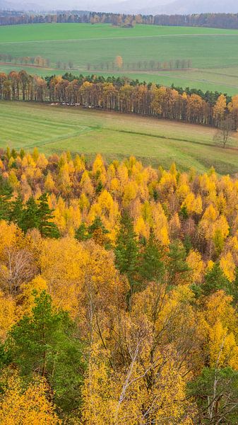 Autumn in Germany by Jessica Lokker