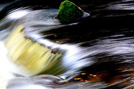 WILDBACH 1 von Miroslav Ptacek