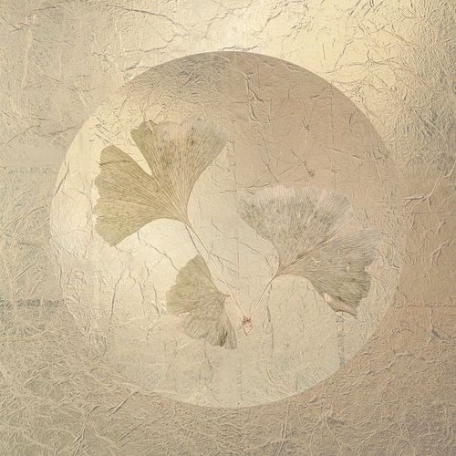 Ginkgo. Veilig in een bubbel. 2