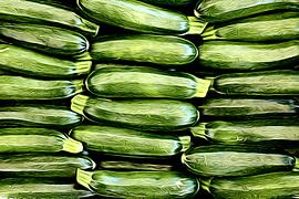 Bande dessinée Zucchini ART 1.0 sur Ingo Laue