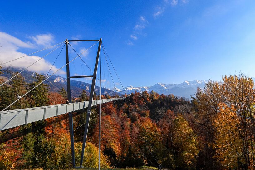 Des couleurs d'automne harmonieuses. par Josmar Colmenares