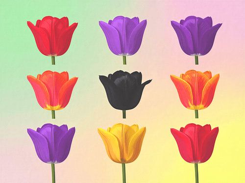 Moderne kleurrijke pop-art tulpen in felle kleuren