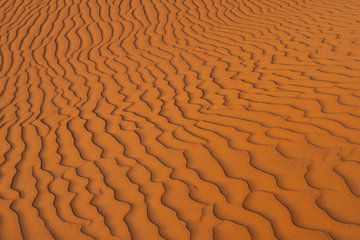 La beauté du désert sur Jeroen Kleiberg