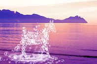 Een paard van waterdruppels van Studio Mirabelle thumbnail
