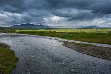 Islande - Des centaines de bottes de foin derrière la rivière dans une prairie verdoyante sur adventure-photos