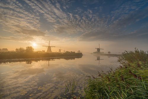 serene morning in Kinderdijk. by Rob Bout