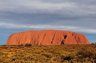 Uluru (Ayers Rock) van Inge Hogenbijl thumbnail