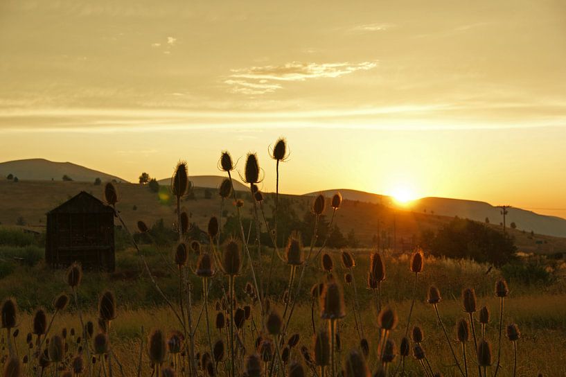 Sunset in the wild west by Jeroen van Deel