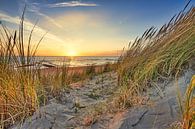 duinen strand en de Noordzee bij een zonsondergang van eric van der eijk thumbnail