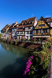 Quai de la Poissonnerie in Colmar von Dirk Rüter