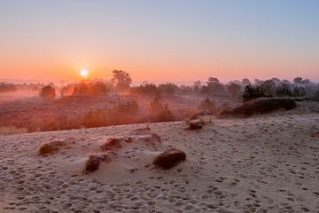 Heather in the fog by Richard Gilissen