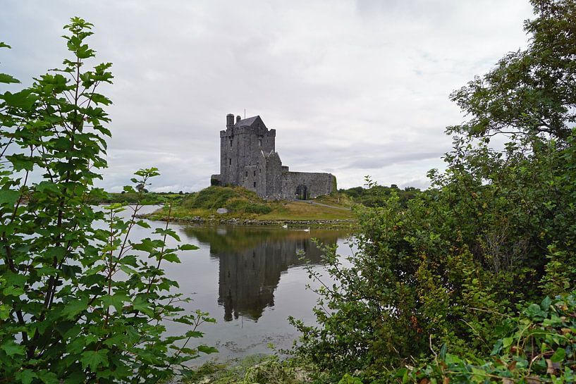 Dunguaire Castle stands near Kinvara in the south of County Galway in Ireland. by Babetts Bildergalerie