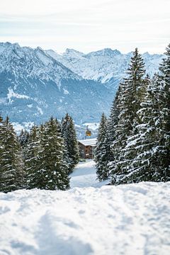 Bolsterlang Skigebied in de winter met uitzicht op n Schneck van Leo Schindzielorz