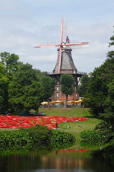 Muurmolen van Torsten Krüger