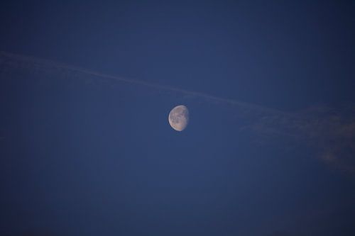 De Maan in daglicht